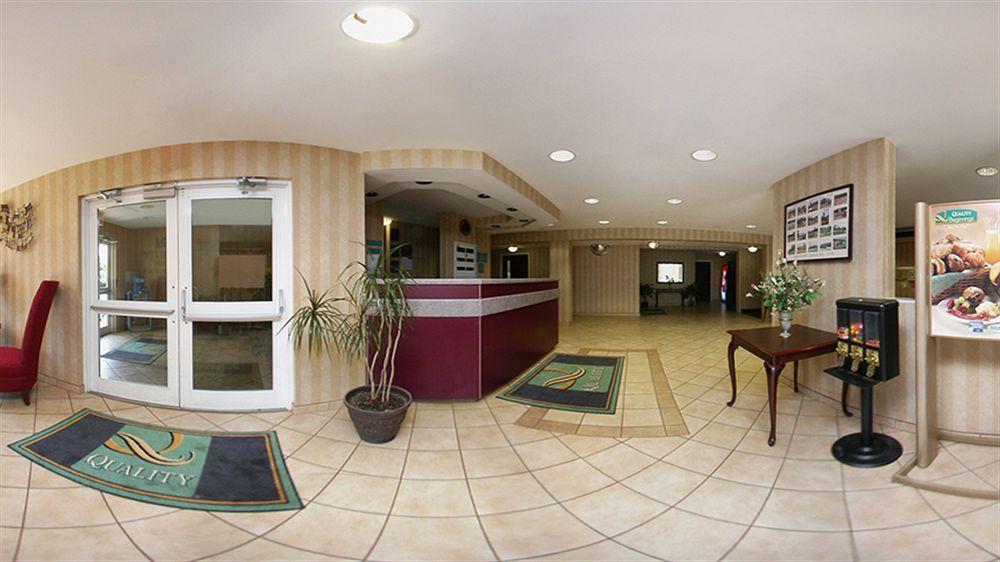 Quality Inn Chester - South Richmond Exteriör bild