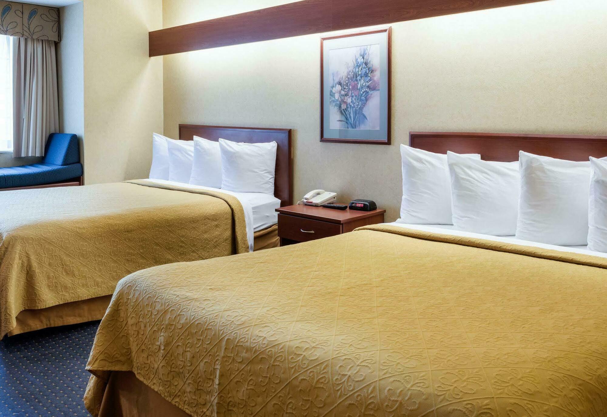 Quality Inn Chester - South Richmond Exteriör bild